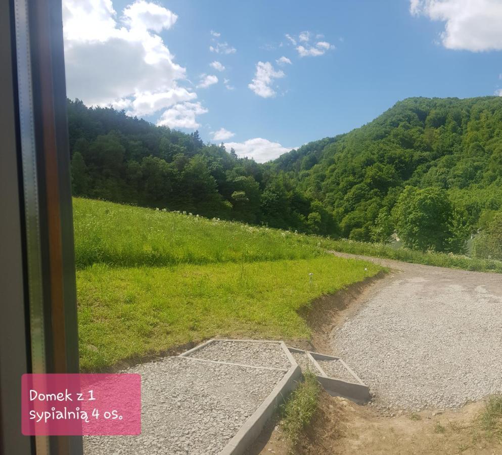 Ambasadorowka Villa Solina  Dış mekan fotoğraf